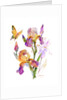 Iris with yellow butterfly, 2016 by John Keeling