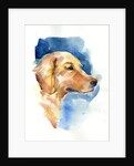 Golden Retriever, 2015 by John Keeling