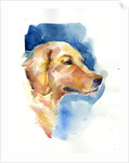 Golden Retriever, 2015 by John Keeling