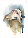 Greyhound Hope, 2016 by John Keeling