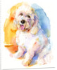 Oliver portrait, 2016 by John Keeling