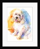 Oliver portrait, 2016 by John Keeling