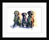 Three Black Labs, 2015 by John Keeling