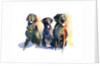 Three Black Labs, 2015 by John Keeling