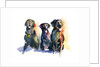 Three Black Labs, 2015 by John Keeling