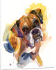 Stanley portrait, 2016 by John Keeling