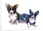 Two Corgis, 2015 by John Keeling