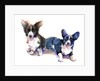 Two Corgis, 2015 by John Keeling