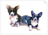 Two Corgis, 2015 by John Keeling