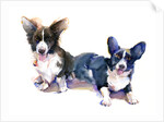 Two Corgis, 2015 by John Keeling