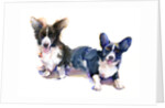 Two Corgis, 2015 by John Keeling