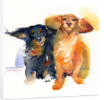 Dachshund Duo, 2014 by John Keeling