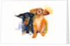 Dachshund Duo, 2014 by John Keeling