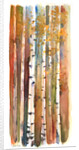 Birches in Autumn, 2013 by John Keeling