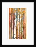 Birches in Autumn, 2013 by John Keeling