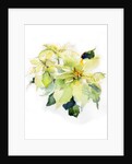 White Poinsettia, 2014 by John Keeling