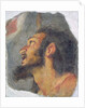The Head of St. John the Baptist, fragment from a fresco by Bernardo Strozzi