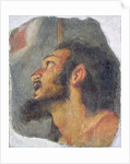 The Head of St. John the Baptist, fragment from a fresco by Bernardo Strozzi