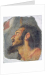 The Head of St. John the Baptist, fragment from a fresco by Bernardo Strozzi