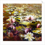 Lilies in Melbourne gardens, 2012 by Mary Smith
