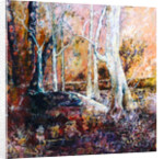 Winter forest, 2015 by Mary Smith