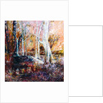 Winter forest, 2015 by Mary Smith