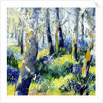 Bluebells and Yellow, 2011 by Mary Smith