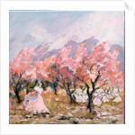 French ladies at the Verdana, 2009 by Mary Smith