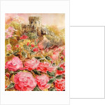 Roses in Windsor gardens, 2016 by Mary Smith