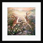 Hares at dawn, 2016 by Mary Smith