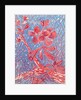 Almond blossom by Mary Smith