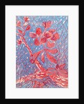 Almond blossom by Mary Smith