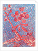 Almond blossom by Mary Smith