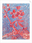 Almond blossom by Mary Smith