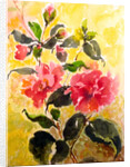 Camelias, 2017 by Mary Smith