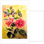 Camelias, 2017 by Mary Smith