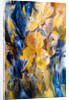 gold and blue iris, 2017 by Mary Smith