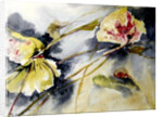 lily leaves drifting, 2017 by Mary Smith
