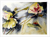 lily leaves drifting, 2017 by Mary Smith