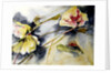 lily leaves drifting, 2017 by Mary Smith