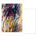 Tropical rainstorm, 2017 by Mary Smith