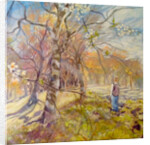 Spring walk under the blossoms, 2017 by Mary Smith