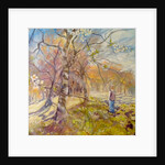 Spring walk under the blossoms, 2017 by Mary Smith