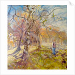 Spring walk under the blossoms, 2017 by Mary Smith