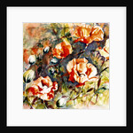 Poppies in the border, 2017 by Mary Smith