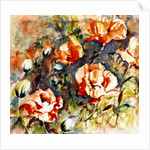 Poppies in the border, 2017 by Mary Smith