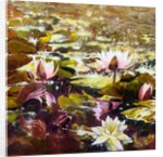 Lilies in Melbourne gardens by Mary Smith