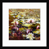 Lilies in Melbourne gardens by Mary Smith