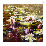 Lilies in Melbourne gardens by Mary Smith