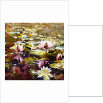 Lilies in Melbourne gardens by Mary Smith